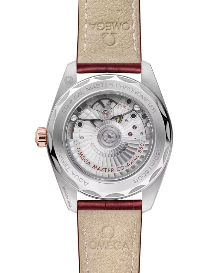 Omega Omega Seamaster Aqua Terra 220.23.38.20.59.001 Aqua Terra, наручные женские часы фото под углом