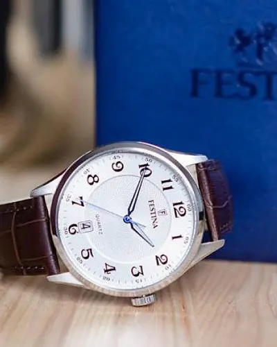 Festina Acero Clasico F20426/1