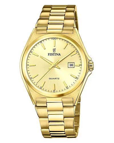 Festina Clasico F20555/3