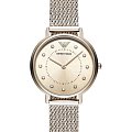 Часы Emporio Armani AR11129