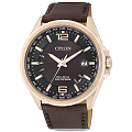 Часы Citizen CB0017-03W
