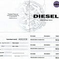 Оригинальные часы Diesel Diesel DZ1370  калибр механизма  общий вид