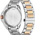 Часы Citizen Eco-Drive AW1726-55L фото 3