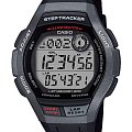 Часы Casio Collection WS-2000H-1A