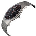 Часы Skagen 233XLTTM фото 2