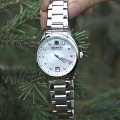 Часы Swiss Military Hanowa Sparkle Lady SMWLH0005001 фото 2