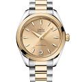 Часы Omega Seamaster Aqua Terra 220.20.34.20.08.001