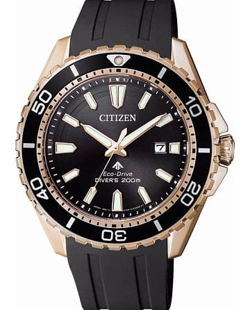 Citizen BN0193-17E