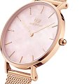 Часы Daniel Wellington Petite Melrose Pearl DW00100516 фото 2