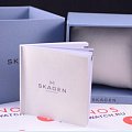 Часы Skagen 233XLTTM фото 4