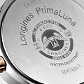 Longines L81155617