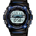 Часы Casio Collection W-S210H-1A