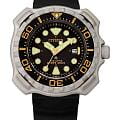 Часы Citizen Promaster BN0220-16E
