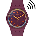 Часы Swatch Gent Swatch Pay! SVHV100-5300