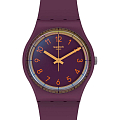 Часы Swatch Gent Swatch Pay! SVHV100-5300 фото 2