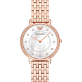 Часы Emporio Armani AR11006