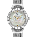 Часы Salvatore Ferragamo Signature SFDM00518