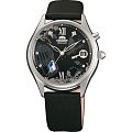 Часы Orient DM00002B (FDM00002B)