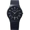 Часы Skagen 233XLTMB