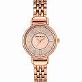 Часы Anne Klein Classic  2158RGRG