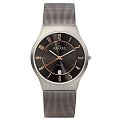 Часы Skagen 233XLTTM