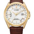 Часы Citizen Eco-Drive CB0253-19A