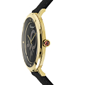 Часы Salvatore Ferragamo chic SFYH00221 фото 2