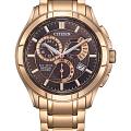 Часы Citizen Eco-Drive BL8163-50X