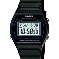 Часы Casio Collection W-202-1A