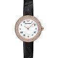 Часы Emporio Armani Rosa AR11356