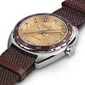 Hamilton H35435820