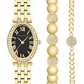 Часы Anne Klein Box Set 3970GBST
